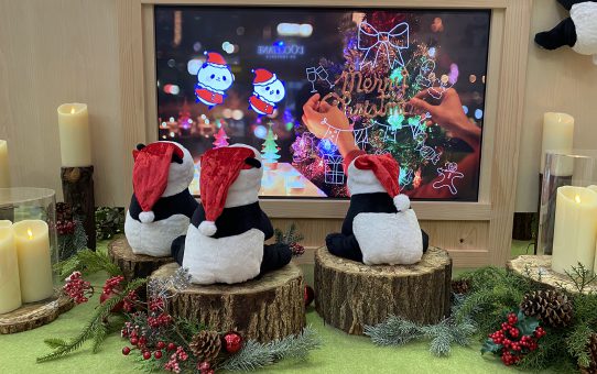 パンダX'mas__☆^o^☆