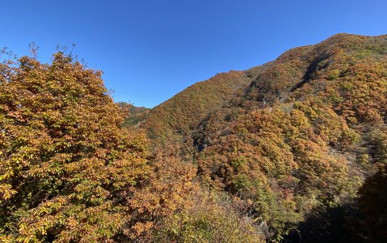 プチツーリング／。／。