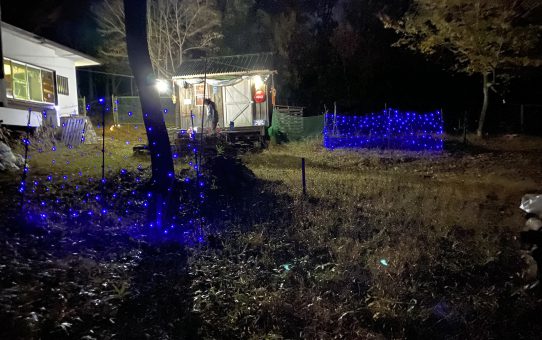 現場_2021.11月1-1