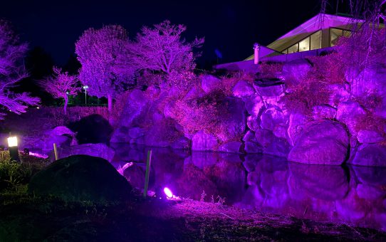 現場_2021.12月2-2