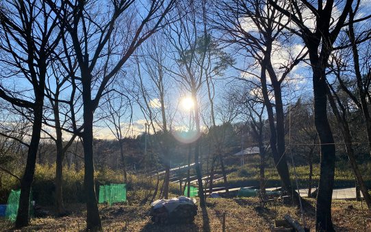 現場_2021.12月2-3