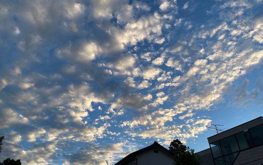 夏の空⛅️／／。