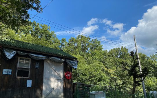 現場_2022.8月1-1-1