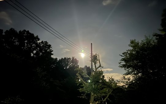 現場_2022.8月1-1-3