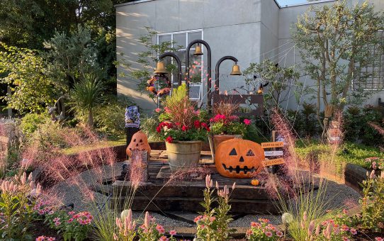 現場_2022.10月1-1