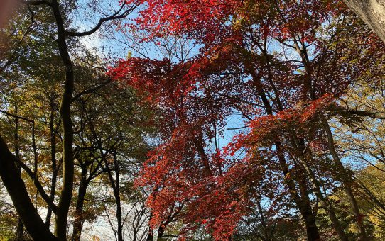 現場_2022.11月1-1