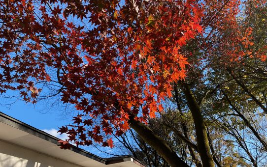 現場_2023.11月2-1