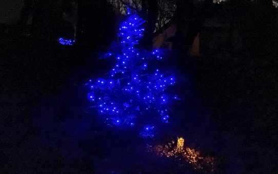 現場_2023.12月1-1