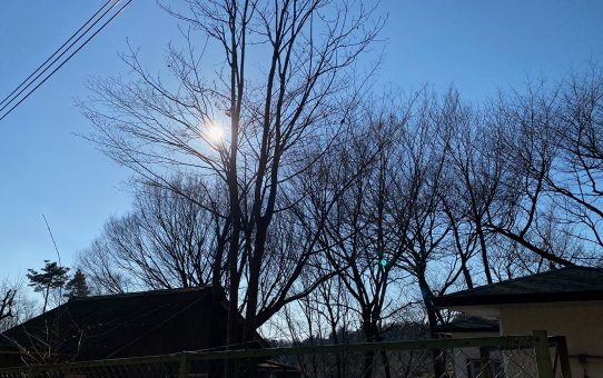 現場_2023.12月3-1