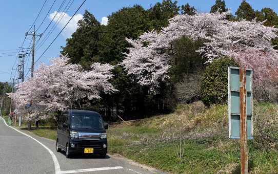 現場_2024.4月1-1〜春便り〜