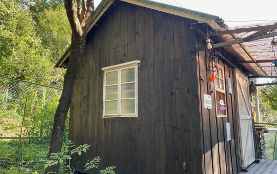 現場_2024.10月1-1