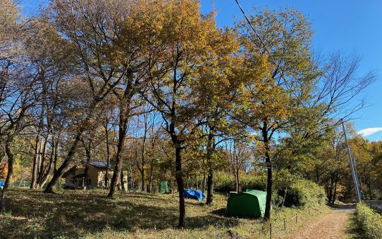 現場_2024.11月3-1