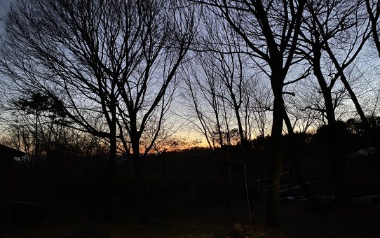 現場_2024.12月1-1