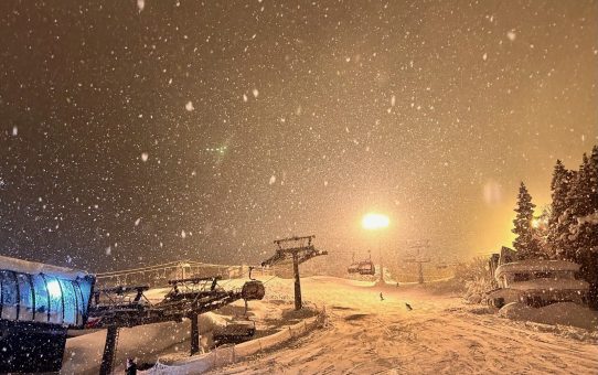 ❄️ウィンター便り❄️