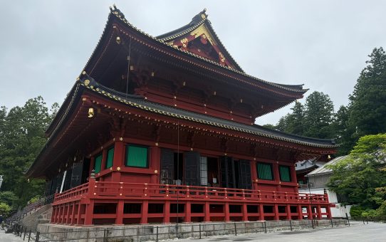 日光＿。＿。_1_