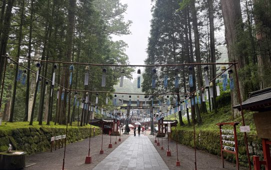 日光＿。＿。_2_