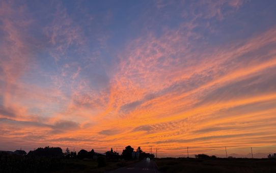 現場_2025.10月1-1