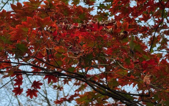 現場_2025.11月1-1