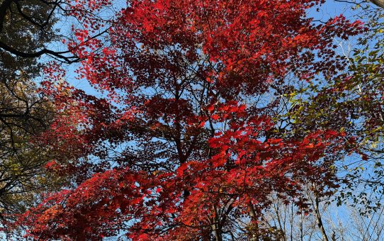 現場_2025.11月2-1