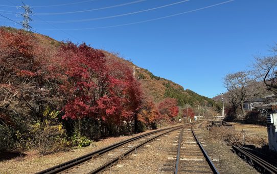 わたらせ_紅葉狩り〜＿|￣|○。。