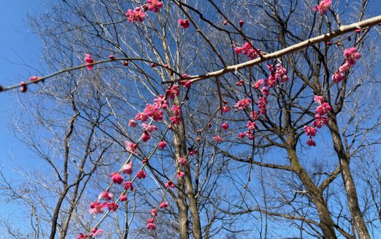 搬入おわた〜^^;;